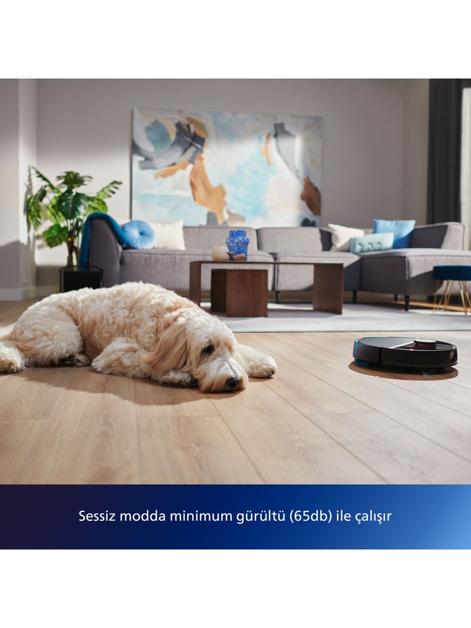 Philips%20HomeRun%207000%20Serisi%20Aqua%20XU7000/01%20Siyah%20Gold%20Akıllı%20Robot%20Süpürge